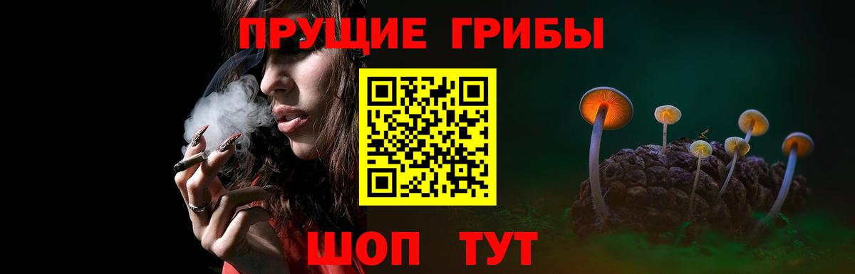 Артёмовский  закладки  Вход с VPN  Галлюциногенные грибы Psilocybine cubensis 